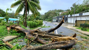 Earthquakes, back-to-back cyclones batter Vanuatu