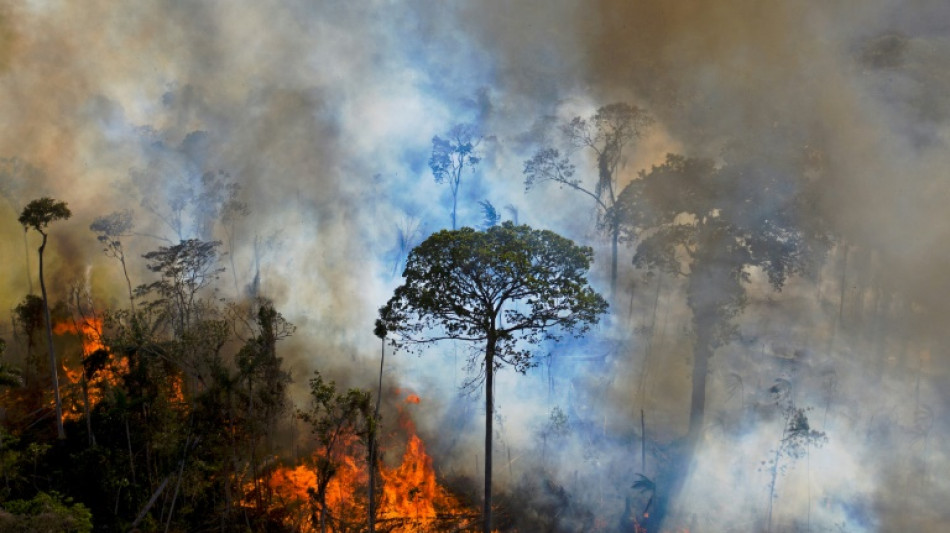 Umweltverbände pochen auf Natur- und Klimaschutz in Mercosur-Abkommen