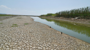 China advierte de una "grave" amenaza a la cosecha por la ola de calor récord