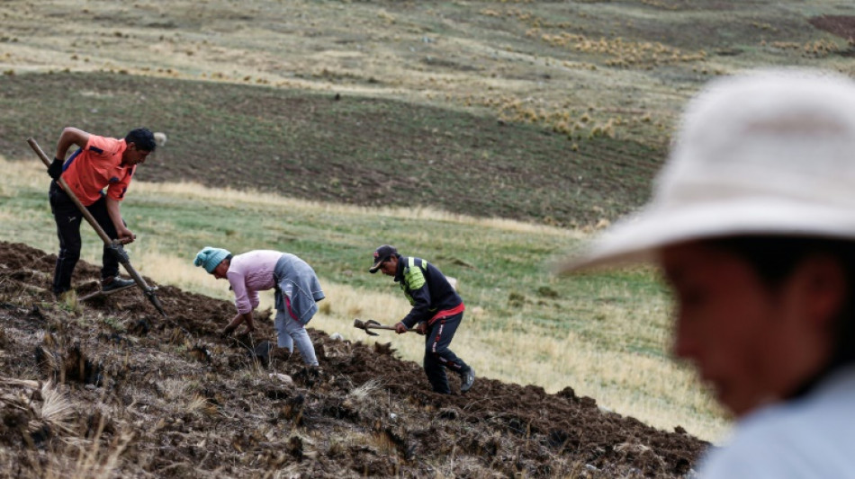 "Ya no podemos solos" contra el clima, el SOS de los campesinos de la sierra peruana