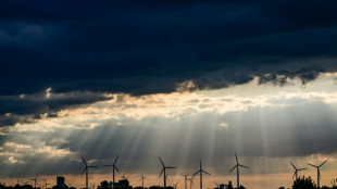 Ausbau von Windenergieanlagen stockt wegen Preissteigerungen erheblich