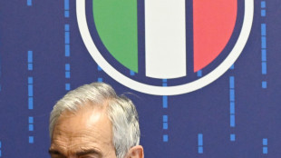 Il 4 novembre le elezioni della Federcalcio