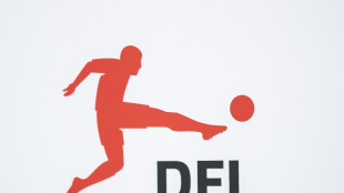 DFL empfiehlt Trauerflor und unterstützt Schweigeminuten