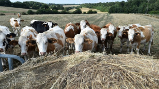 Une transition agroécologique nécessaire, au coeur de l'Europe