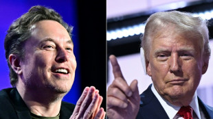 Musk seeks Trump pardon for 'Bitcoin Jesus,' charged with fraud