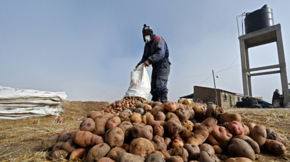 Cara y cruz de China en América Latina: dinero y deterioro ecológico (informe)