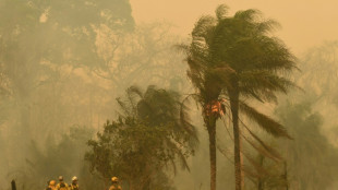 Bolívia decreta 'desastre nacional' por incêndios florestais