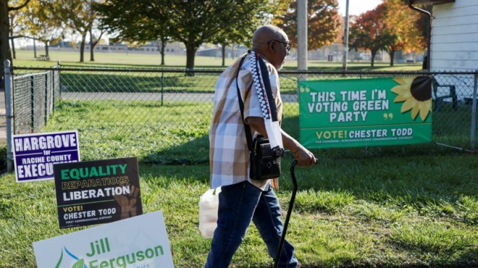 O voto verde que irrita os democratas em Wisconsin