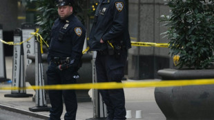 El patrón de gigante de la salud UnitedHealthcare, asesinado a tiros en Nueva York