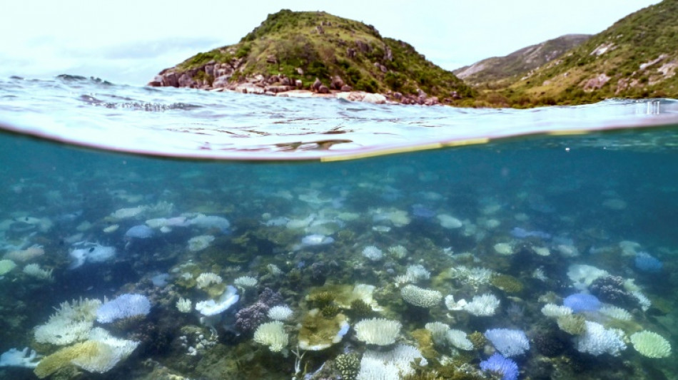 Australien will Wasserqualität am Great Barrier Reef verbessern