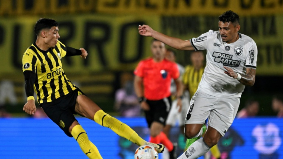 Botafogo e Atlético-MG disputarão a 6ª final brasileira da história da Libertadores