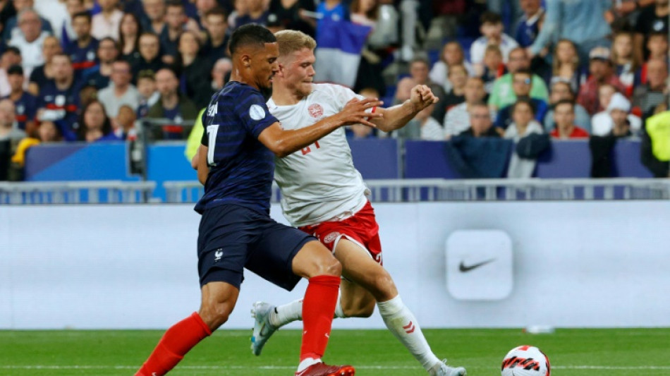 Denmark recover from Benzema strike to beat France in Nations League 