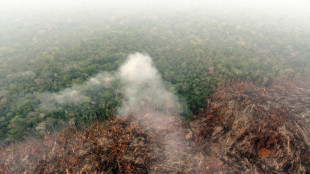 Septiembre ya es un mes negro para los incendios en la Amazonía brasileña
