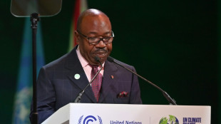 Le Gabon accueillera la Semaine africaine du climat fin août 