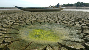 Vietnam temperature records tumble as heatwave scorches