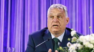 La Hungría euroescéptica de Vikor Orban asume la presidencia semestral de la UE