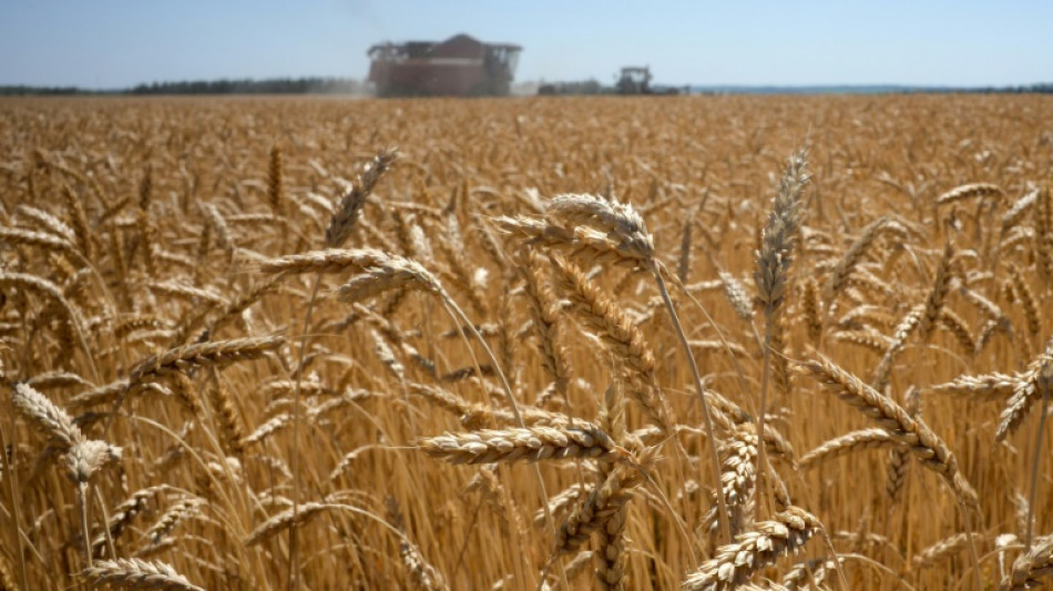 EU eyes tariffs to 'choke off' Russian grain sales