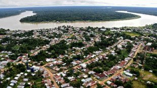 La jungle de la Vallée de Javari, l'une des plus denses de la planète