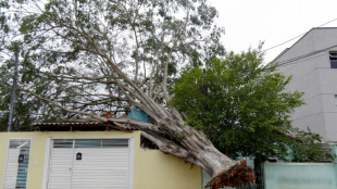 Eight dead as heavy rain thrashes Brazil after long drought