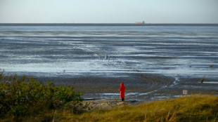 Vermisste sechs Wochen nach Wattwanderung tot auf Sandbank gefunden