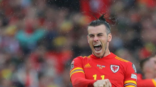 Bale must be handled with care says Wales boss Page