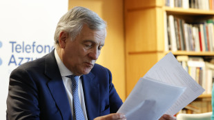 Tajani condanna raid Golan, 'monitoriamo italiani in area'