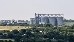 Large part of Ukraine grain storage lost in war: report