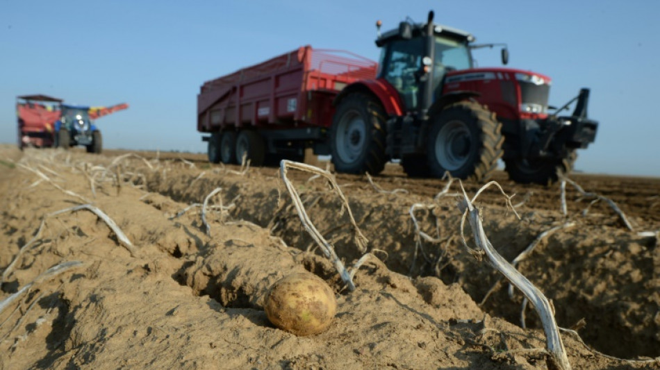 Gericht: Bauer muss anderen Landwirt für abgedriftetes Spritzmittel entschädigen