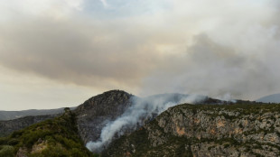 Miles de hectáreas arrasadas por los incendios forestales en España