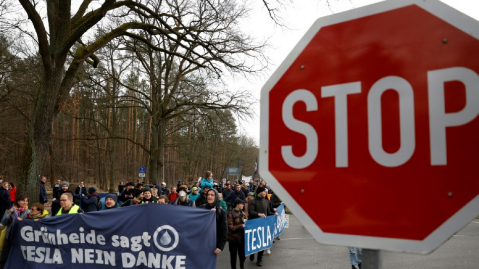 Activists protest Tesla plant expansion in Germany