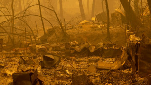Miles obligados a evacuar en California por el mayor incendio en lo que va del año