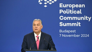 After Trump win, Orban basks in hosting European leaders