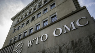 EU launches WTO challenge against China dairy probe