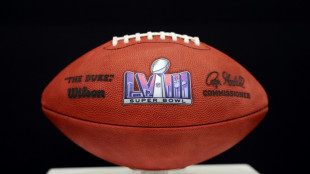 NFL team owners approve private equity investment plan: league statement