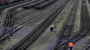 Diebe stehlen etwa 40 Tonnen Schienen von Baustelle an Bahnhof in Mainz 