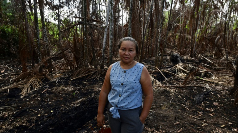 Impunidad e inacción: habitantes de Amazonía brasileña exigen coto al fuego