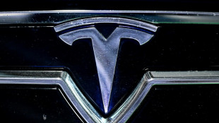 Tesla anuncia queda nas vendas de seus veículos em 2024