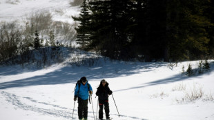 Colorado snow survey scoops up evidence for 'wet year' in US West