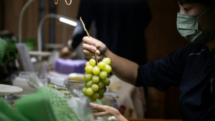 Sour grapes: Japan battles to protect premium fruits