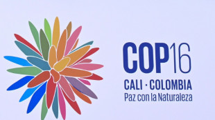 'Paz com a natureza': uma COP16 sob ameaça guerrilheira na Colômbia