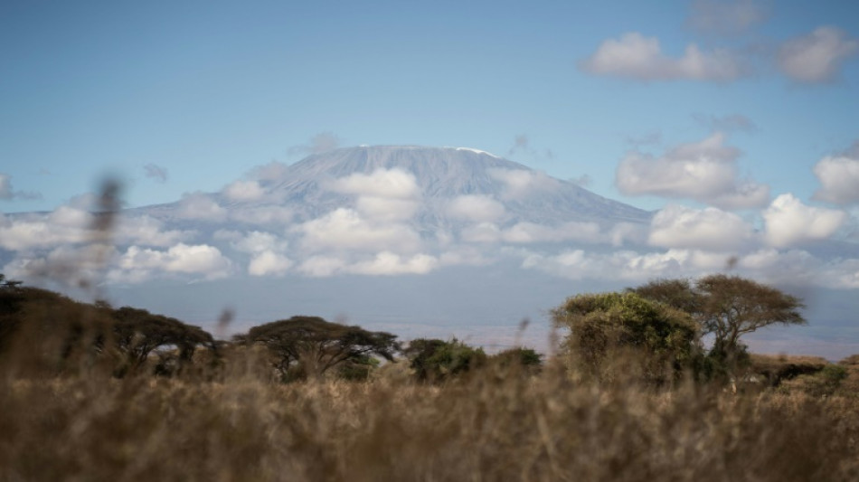 Tanzanie: l'incendie sur le Kilimandjaro est "maîtrisé"