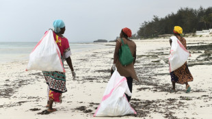 Fléau des plages, les tongs abandonnées deviennent objets d'arts au Kenya