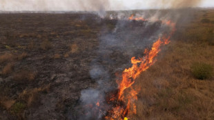 O que se sabe sobre a onda de incêndios no Brasil