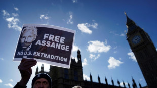 Newspapers urge US to drop hunt for Assange