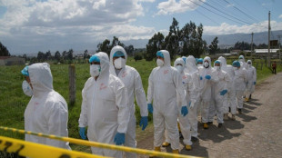 Ecuador registra un primer caso de influenza aviar en humanos