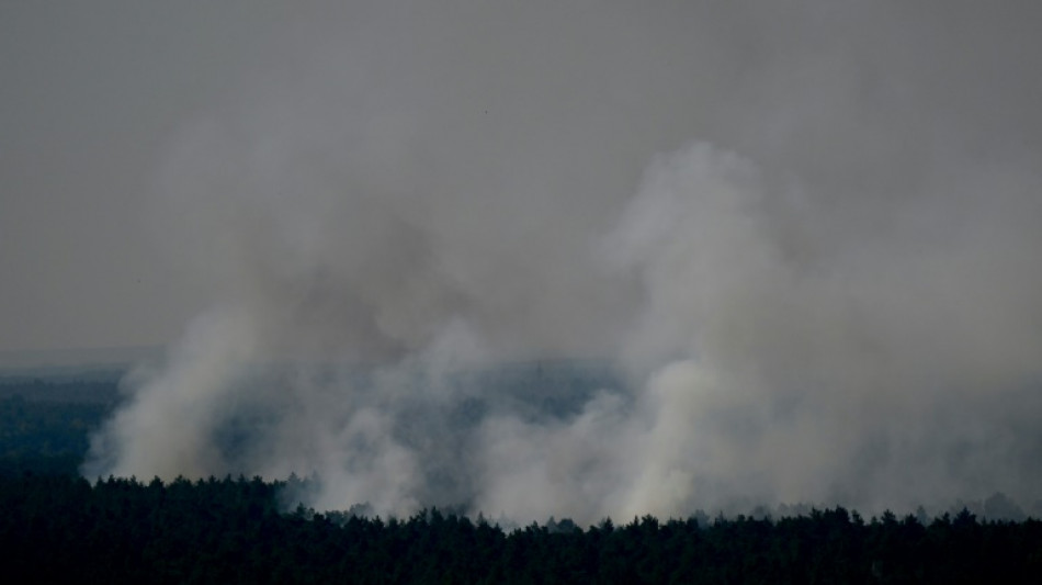 Berliner Feuerwehr wegen Brands im Grunewald im Großeinsatz