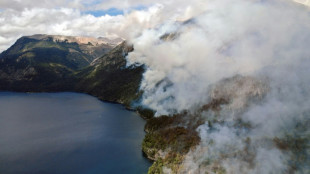 Avanza fuego en bosques nativos patagónicos del sur de Argentina