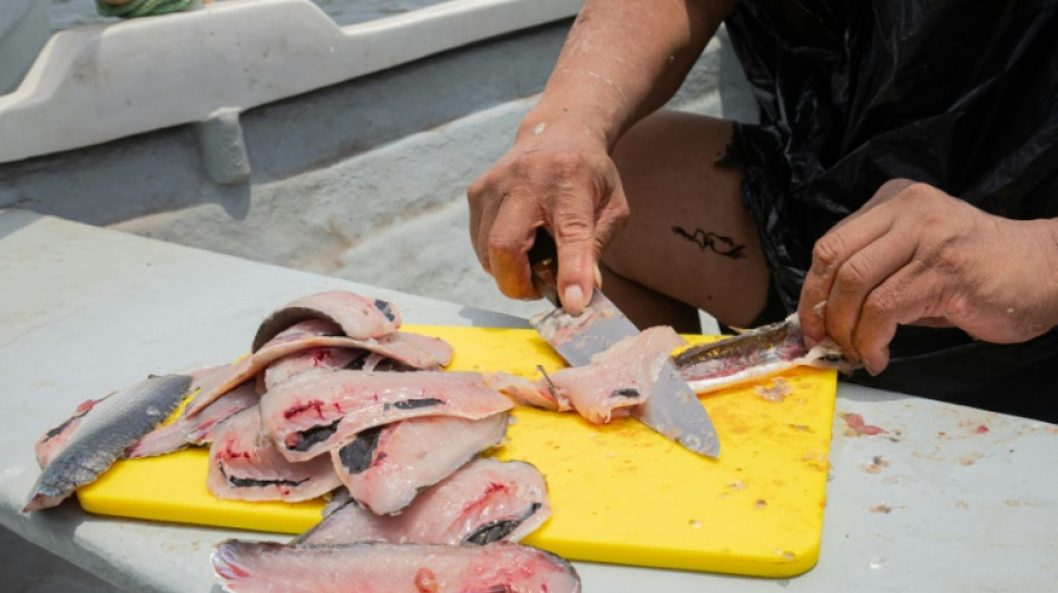 UNESCO to list ceviche, opera as 'intangible heritage'